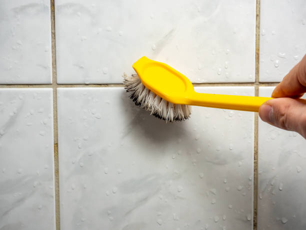 Best Mold Cleaning Services  in East Liverpool, OH