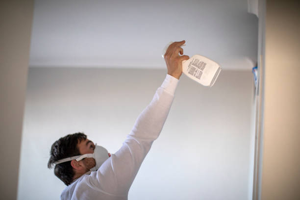 Best Mold Remediation  in East Liverpool, OH