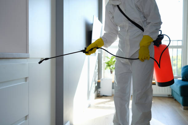 Best Residential Mold Removal  in East Liverpool, OH