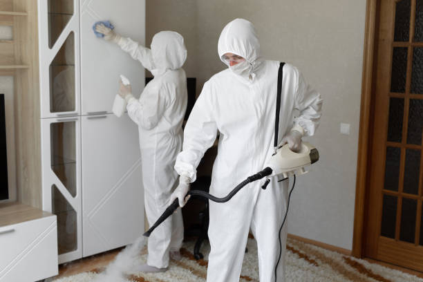 Best Attic Mold Removal  in East Liverpool, OH