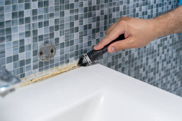 Best Black Mold Removal  in East Liverpool, OH